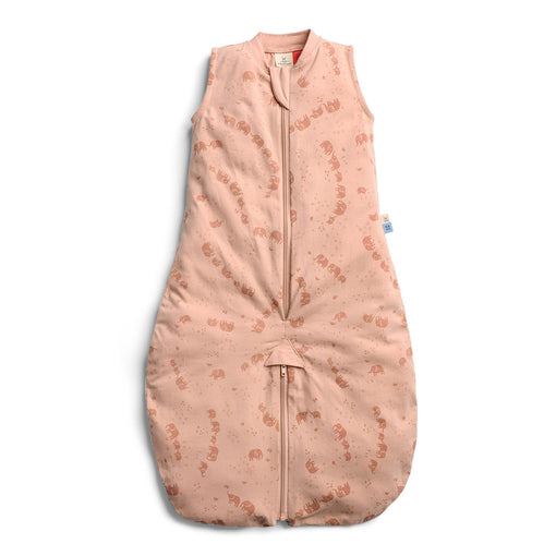 Cargar imagen en el visor de la galería, Sleep Suit Bag 0.2 TOG