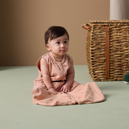 Cargar imagen en el visor de la galería, Sleep Suit Bag 0.2 TOG