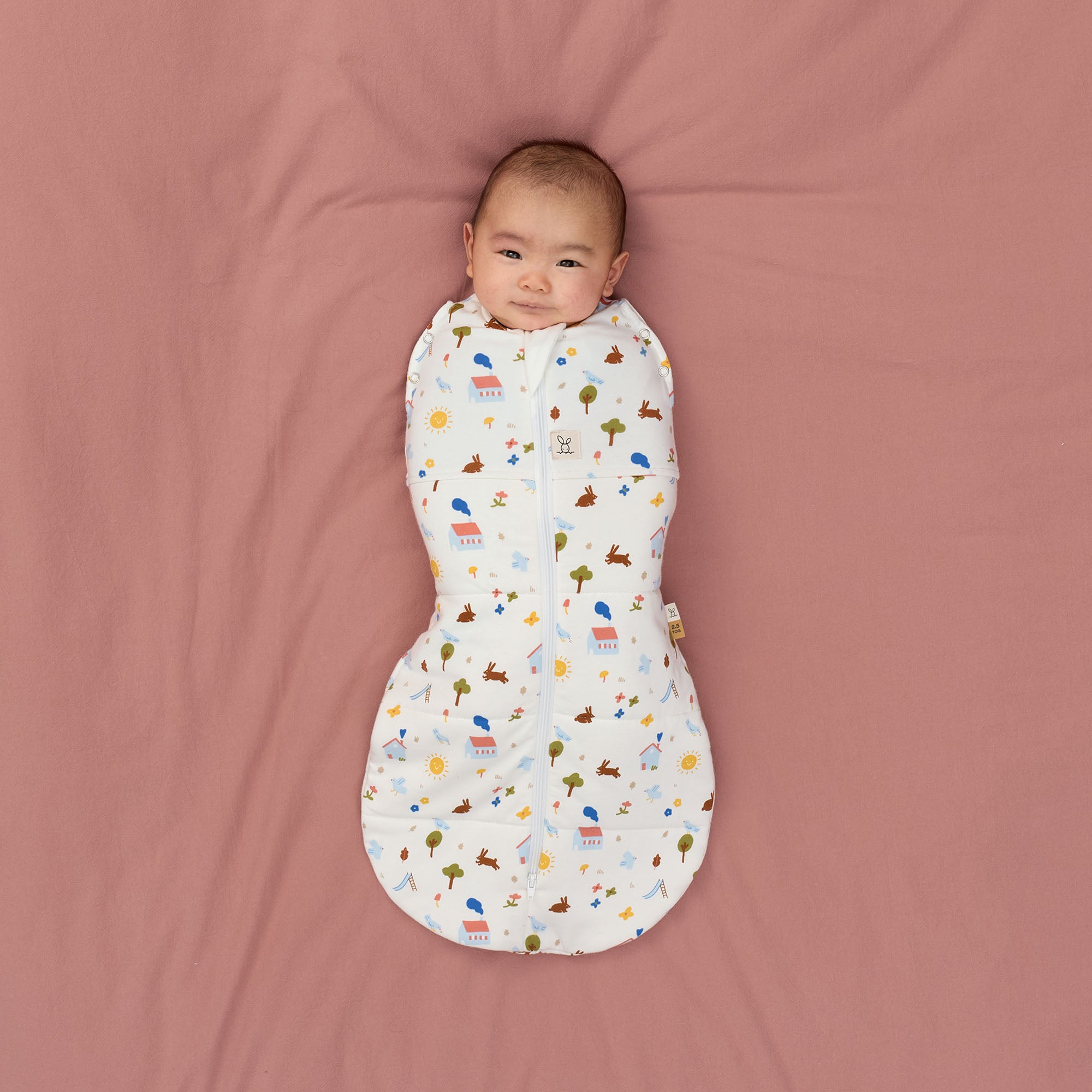 Cocoon Swaddle Bag 2.5 TOG