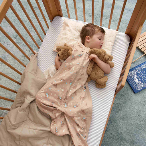 Cargar imagen en el visor de la galería, Sleep Suit Bag 1.0 TOG