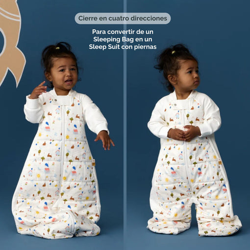 Cargar imagen en el visor de la galería, Sleep Suit Bag 2.5 TOG