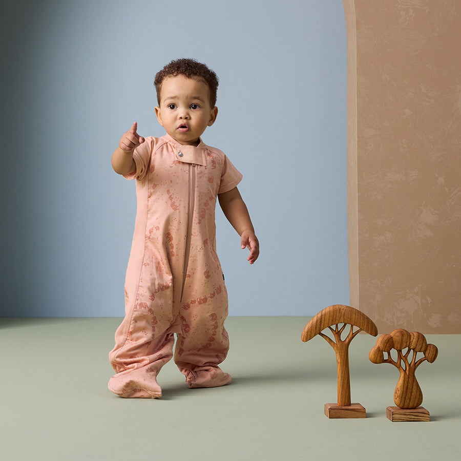 Sleep Suit Bag 1.0 TOG