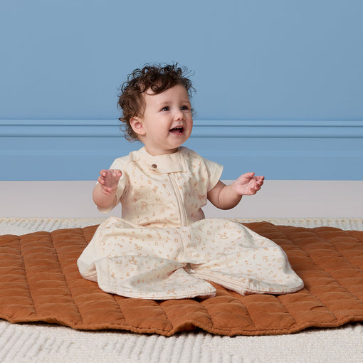 Cargar imagen en el visor de la galería, Sleep Suit Bag 1.0 TOG