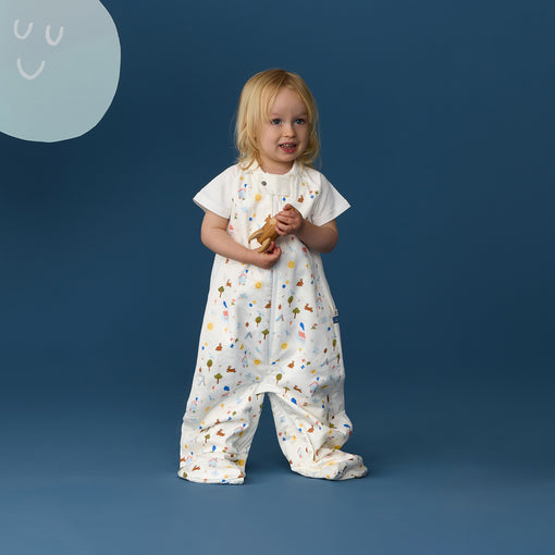 Cargar imagen en el visor de la galería, Sleep Suit Bag 1.0 TOG