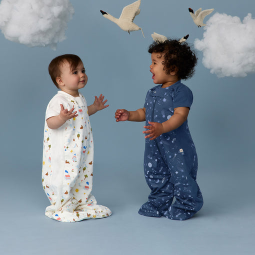 Cargar imagen en el visor de la galería, Sleep Suit Bag 1.0 TOG