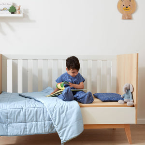 Pillow with case 0.3 TOG