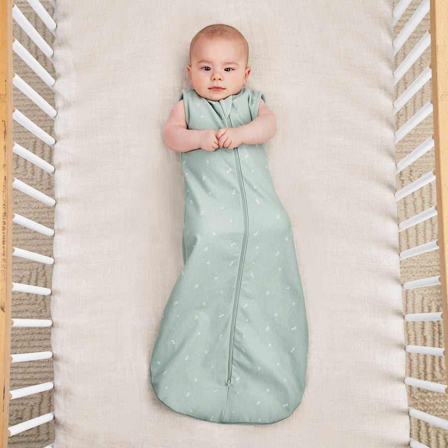 ergoPouch Saco de dormir para bebé de 0.2 tog de 3 a 6 meses, saco de  dormir para noches cálidas y acogedoras, saco de envolver a Cocoon que  mantiene